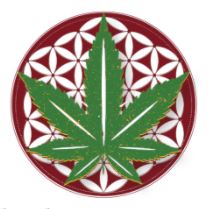 Shah Hemp Inno-Ventures