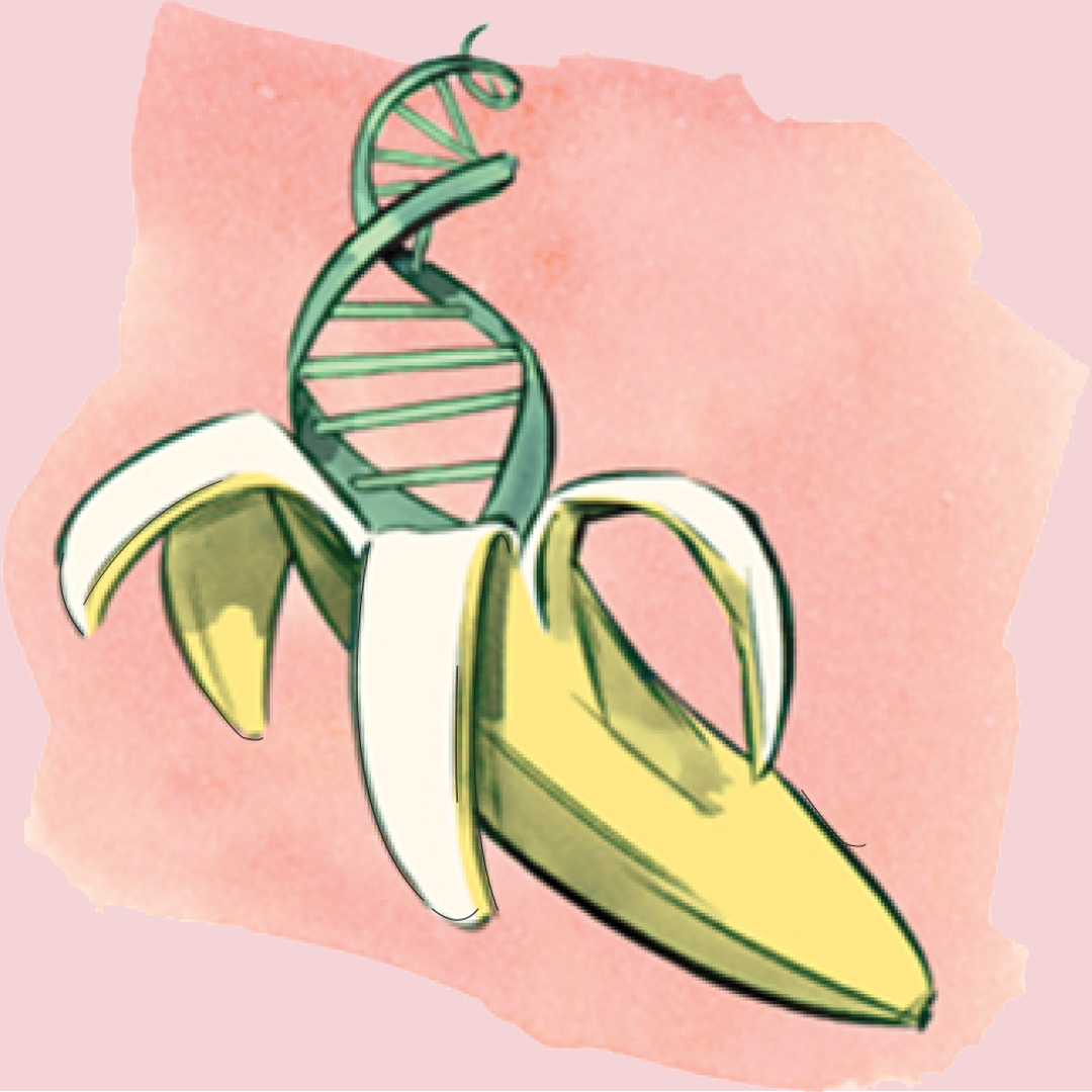 Annapurna Handicraft