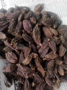 Natural Medicinal Black Cardamom Nepali Cardamom Spice