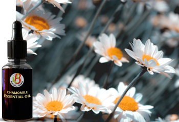 100% Natural & Pure Chamomile Essential Oil