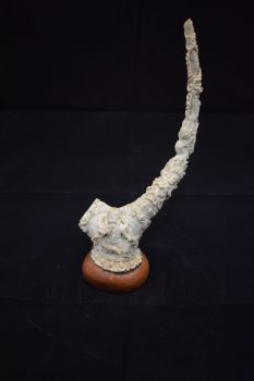 Horn Shaped Deer Horn Statue
