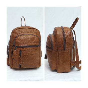 Small and Comfortable Attractive Brown Leather Backpack
