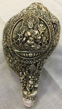 21 Tara Carved Conch shell