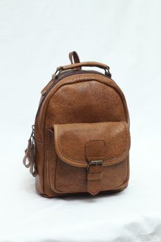 Beautiful and Attractive Small Size Brown Leather Backpack