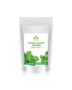 Dried Mint Powder 200gm