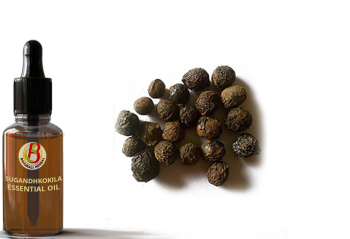 100% Natural & Pure Sugandha Kokila Essential Oil