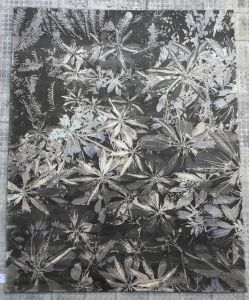 handknotted woollen carpets