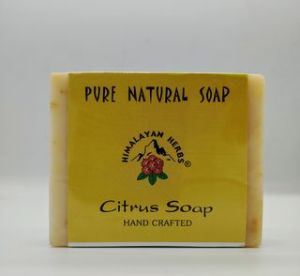 Citrus Soap