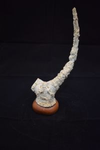 Horn Shaped Deer Horn Statue