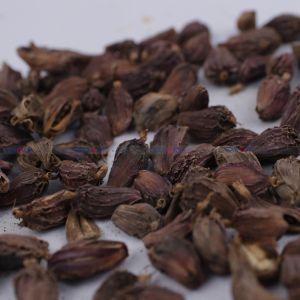 High Quality Export Level Fresh Organic Black Cardamom