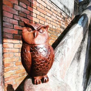 Handmade Owl Pot (money saving)