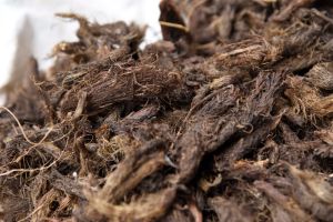 100% Pure Natural Organic Jatamansi Essential Oil