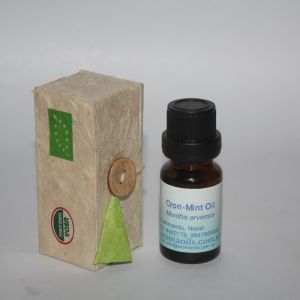 Annapurna Aroma Corn-mint (Mentha) Essential Oil- 10 ML