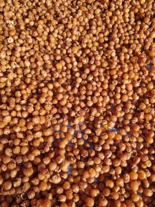 Natural Soap Sapindus Mukorossi Soapnut Seeds