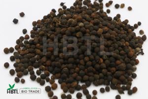Natural Organic Herbal Medicinal Siltimur Seeds