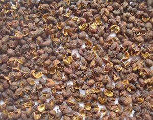 100% Pure Natural Zanthoxylum Oil